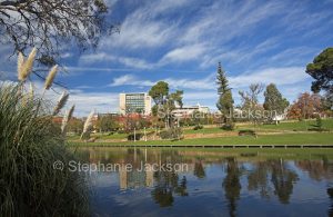 Urban landscape with Torrens River and parklands hemmed by buildings of CBD in city of Adelaide, South Australia