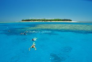 People snorkelling in lagoon with Lady Musgrave Island, on Great Barrier reef, nearby, in Queensland Australia