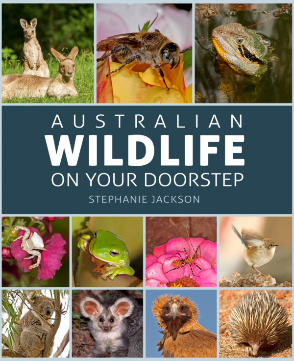 Australian wildlife on your doorstep - book