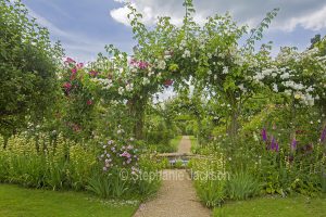 Garden with archway covered with climbing roses at Rousham gardens near Oxford, England.