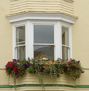 Window boxes with mass of colourful flowers.