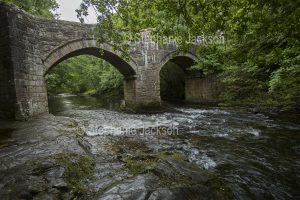 River Dart and stone bridges in Dartmoor National Park in Devon, England.
