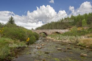 River and arched stone bridge near Bonar Bridge in Scotland.