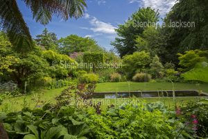 Garden with pond at Ascog Hall on the island of Bute in Scotland.