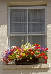 Window box with mass of colourful flowers.