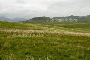 Landscape of treeless moors and rocky peaks in Cumbria, England.