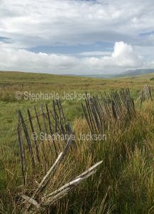 Old fence on the Yorkshire Moors near Hawes in North Yorkshire, England.