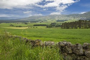 Farming, agriculture, Farmlands in the Cairngorms National Park in Scotland.