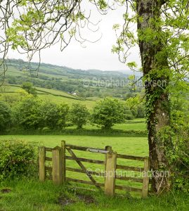 Rural landscape with farm gate and fields on rolling hills near Carrig Cennen castle in Wales.