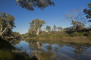 Cooper Creek at Innamincka in northern / outback South Australia.
