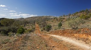 Road through landscape of Gammon Ranges National Park in northern / outback South Australia