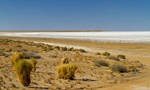 Vast salt flats of Lake Eyre in northern / outback South Australia.