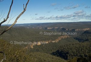 Forested landscape with hills and gorges of the Great Dividing Range at Morton National Park in NSW Australia