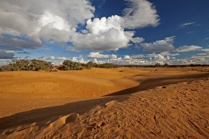 Australian outback / desert landscape - Perry sandhills, red sand dunes, near Wentworth in outback NSW Australia.