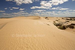 Arid Australian outback landscape dominated by barren sand dunes under blue sky in Mungo National Park in NSW Australia