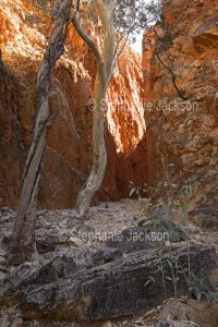 Standley Chasm, a popular tourist attraction in the West MacDonnell Ranges, in the outback, in the Northern Territory, Central Australia