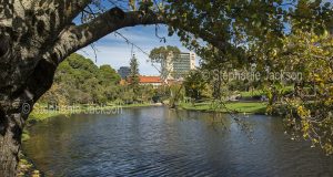 The Torrens River and the parklands on its banks are in the heart of the city of Adelaide, which is the capital of South Australia.