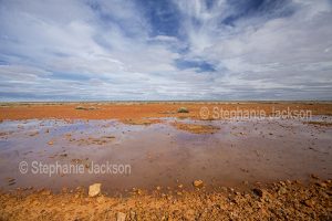 Pool of water on barren treeless red outback plains along the Oodnadatta track in outback South Australia.