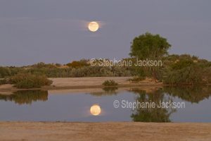 Full moon reflected in calm water of artesian pool at Montecollina bore in northern / outback South Australia.
