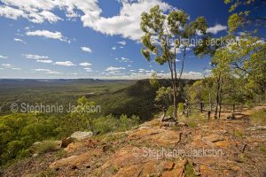 View from high rocky lookout of forested Arcadia Valley hemmed by ranges, in central Queensland Australia.