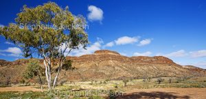 Panoramic arid outback landscape dominated by Mount Chambers in the Flinders Ranges region of northern / outback South Australia.
