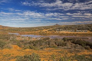 Road crossing Wilochra Creek in the Flinders Rangers region north of Quorn in outback South Australia.