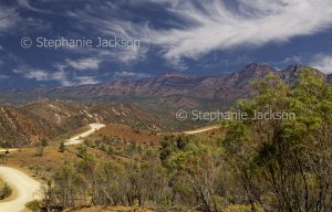 Dirt road / track winding through hills of Flinders Ranges National Park in outback / northern South Australia