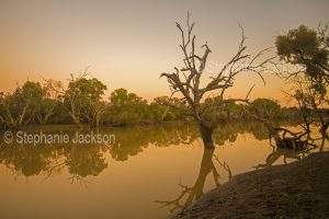 Sunset at the Warrego River in Cunnamulla in outback Queensland Australia.